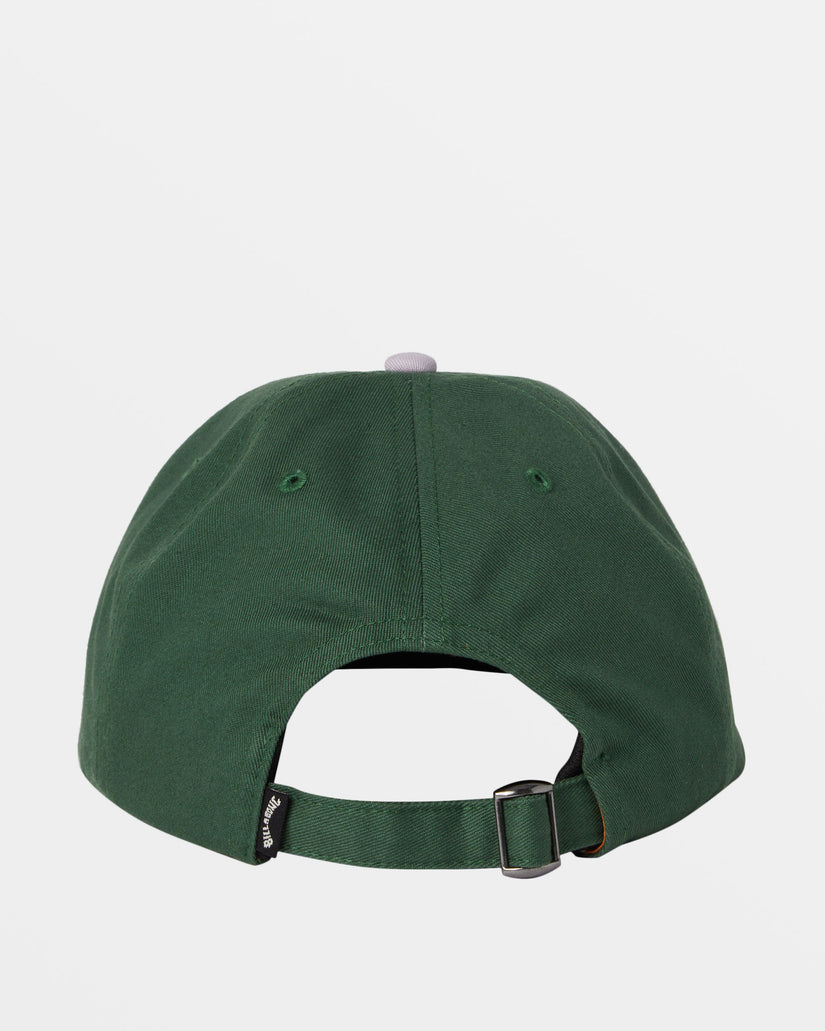 Global Arch Baseball Hat - Fern