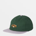 Global Arch Baseball Hat - Fern