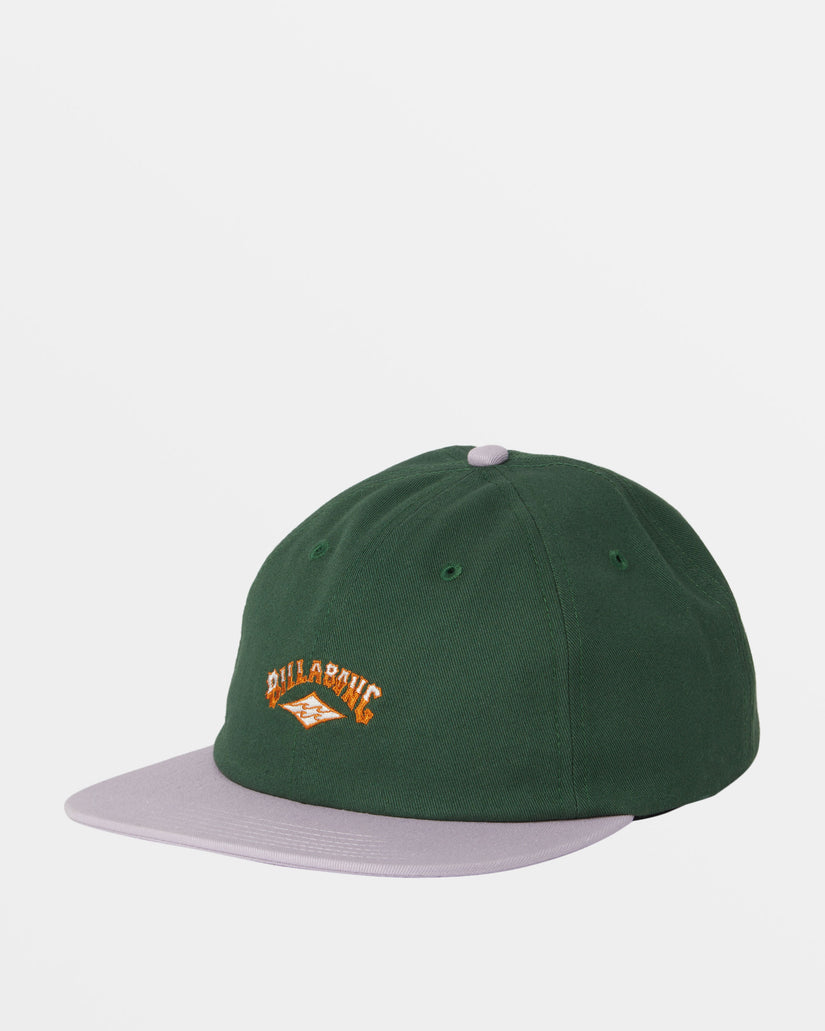 Global Arch Baseball Hat - Fern