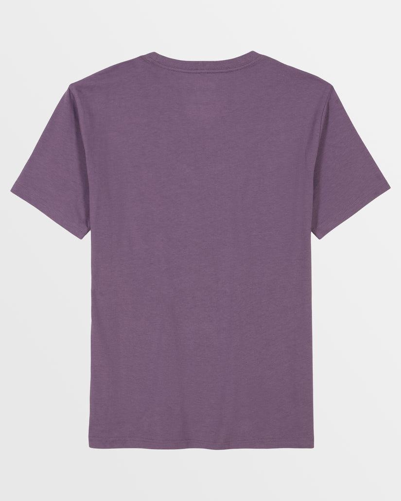 Little Boys Shady T-Shirt - Dusty Grape