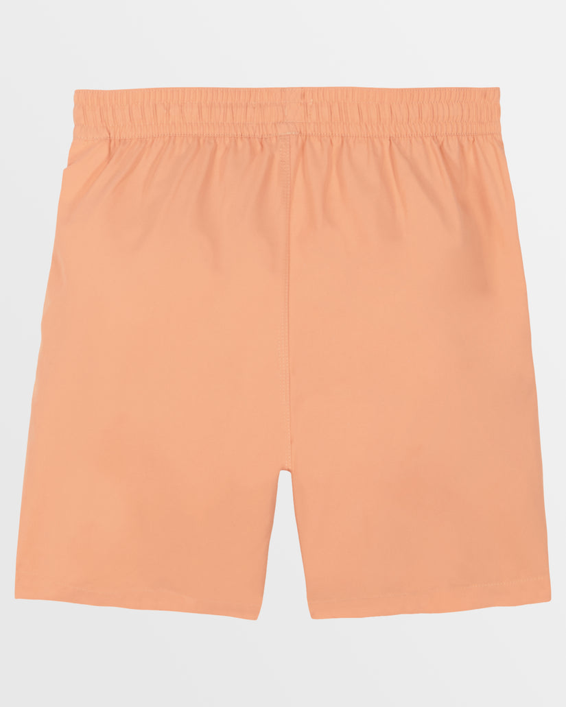 Boys All Day Layback 6.5" Boardshorts - Sunset