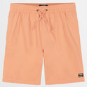 Boys All Day Layback 6.5" Boardshorts - Sunset