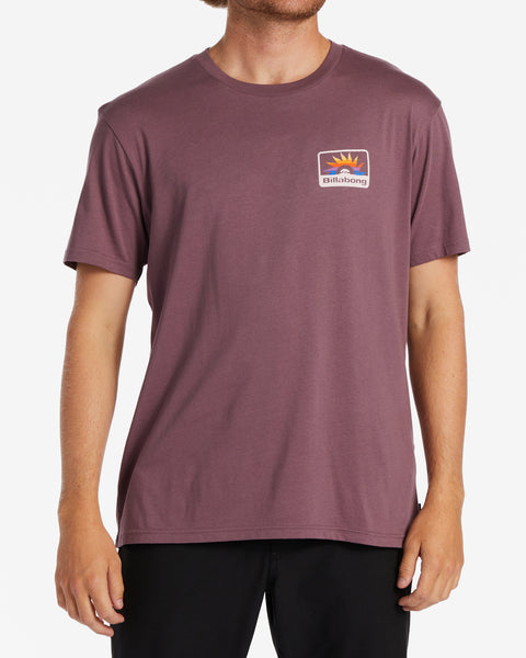 Walled T-Shirt - Vintage Violet – Billabong.com