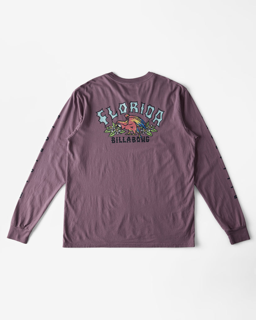 Billabong Mens Arch Florida Long Sleeve T-Shirt, Plum (Violet), Size XL